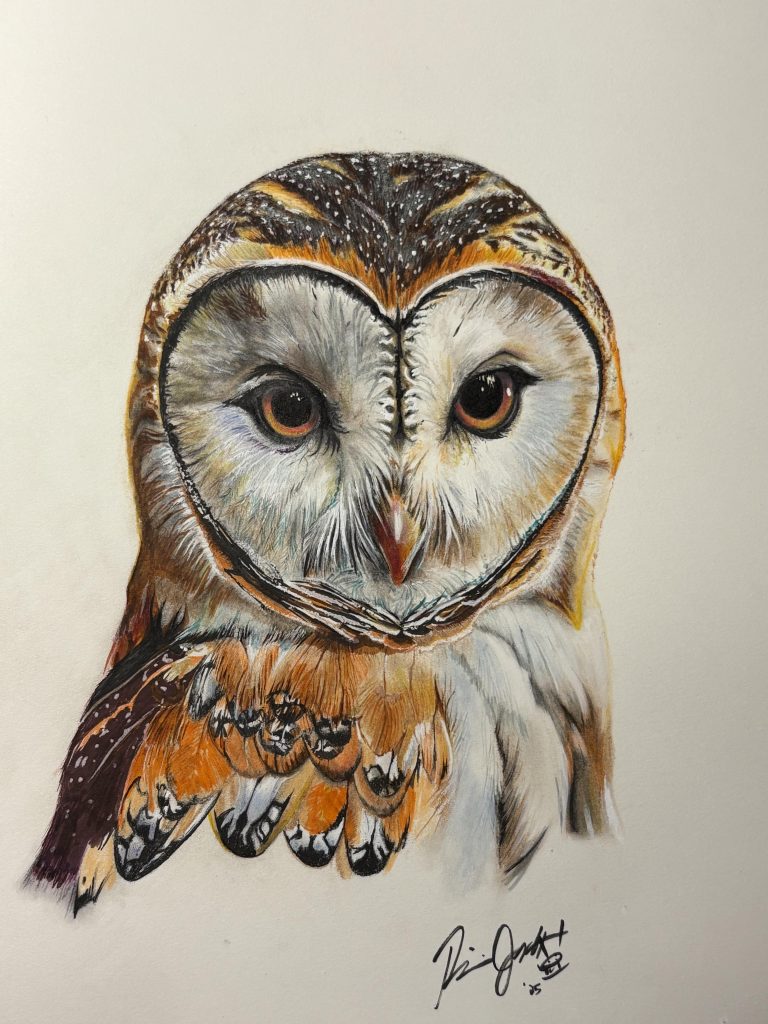 “Barn Owl” (colored chalk pencils, art markers, gel pen, acrylic)